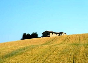 Basilicata_bando aree montane