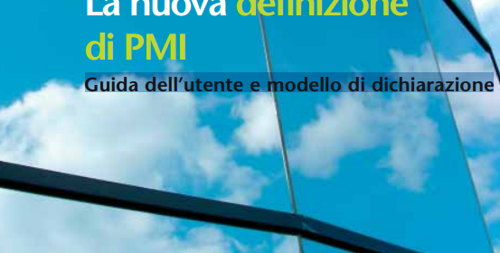 Nuova Definizione di PMI