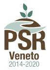logo_psr_veneto